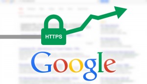 Google indexes more intensely HTTPS pages